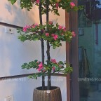 Cây hoa đỗ quyên giả trang trí